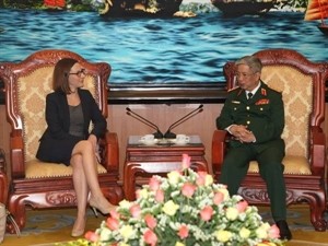 Vietnam, US to expand defense co-operation - ảnh 1